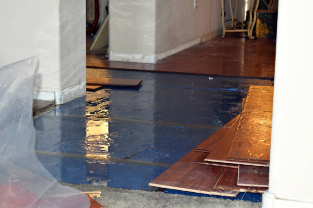 Professional Water Damage Restoration technician working in Lakeside Marblehead, OH